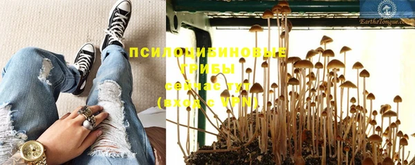 MDMA Беломорск