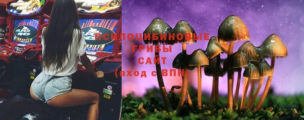 COCAINE Белокуриха