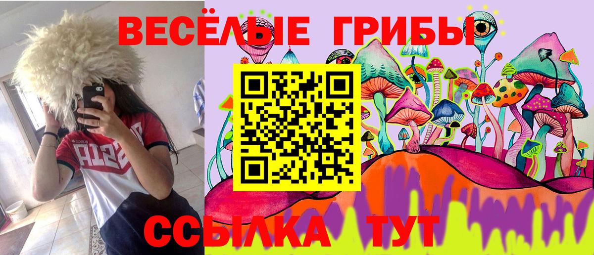 Псилоцибиновые грибы MAGIC MUSHROOMS  Вход с VPN  Сердобск 