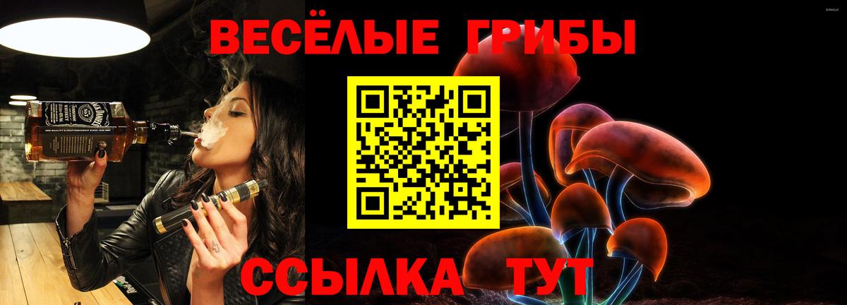 Псилоцибиновые грибы мицелий Сердобск
