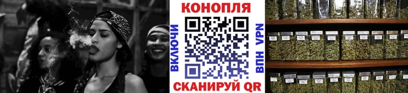 где можно купить   Сердобск  Бошки Шишки план 